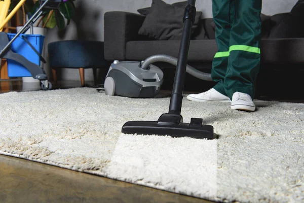 V & N Cleaners, Pacoima CA - Carpet Cleaning