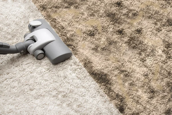 Pet Stain Removal